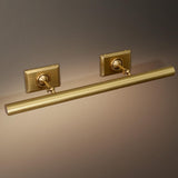 Anite Picture Light