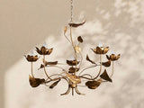 Ninfea Chandelier 49''D