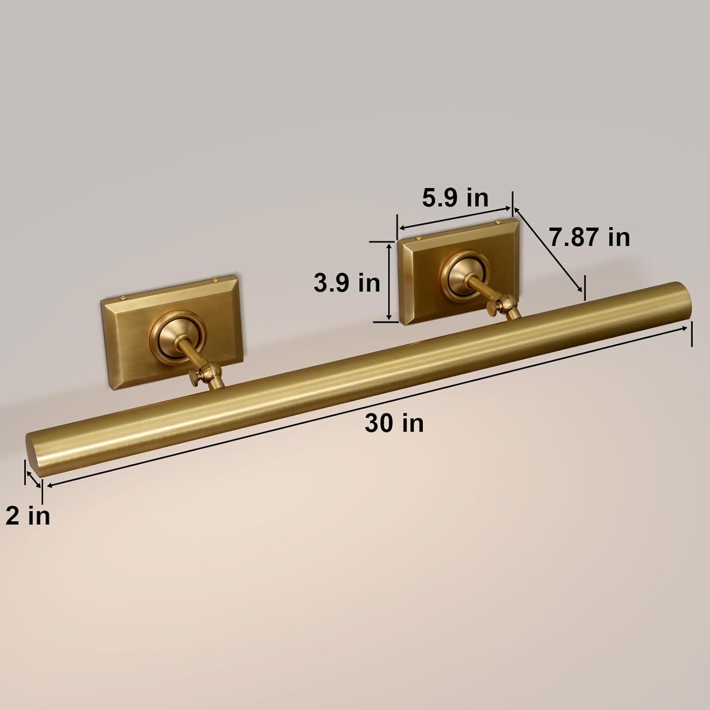 Anite Picture Light