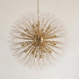 Dandelion Round Chandelier