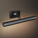 Anite Picture Light