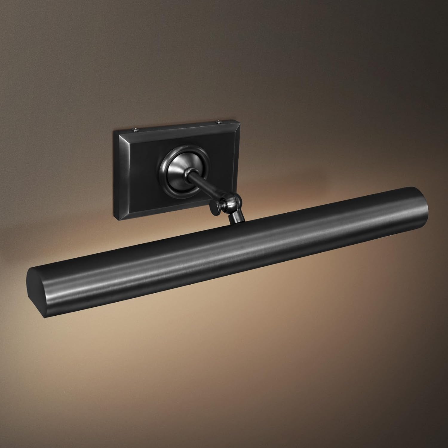 Anite Picture Light