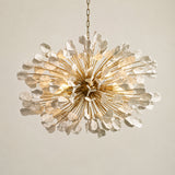 Lunaria Chandelier