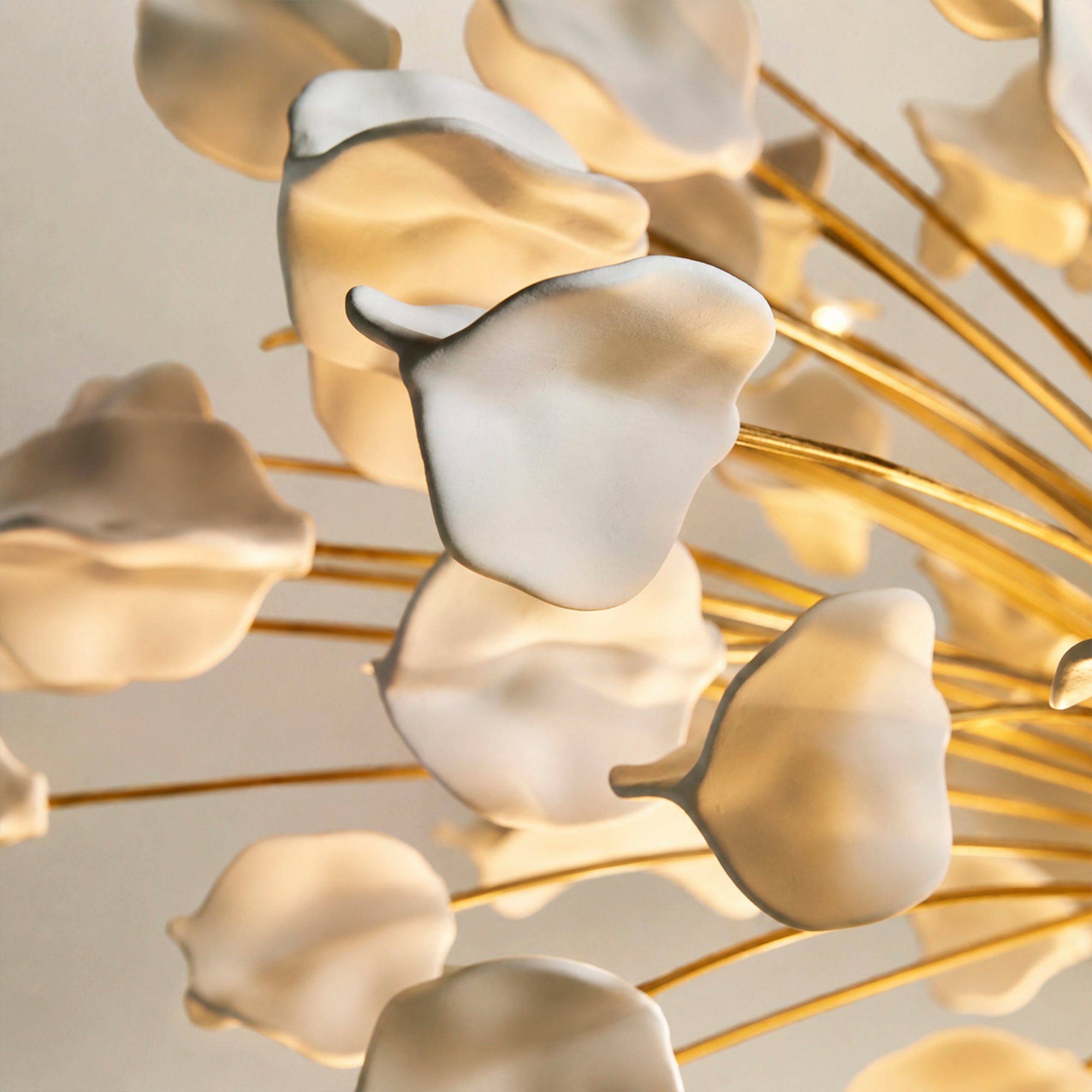 Lunaria Chandelier