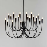 Liona Large Brass Candelabra Chandelier Light