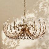 Adora 8 Light Chandelier